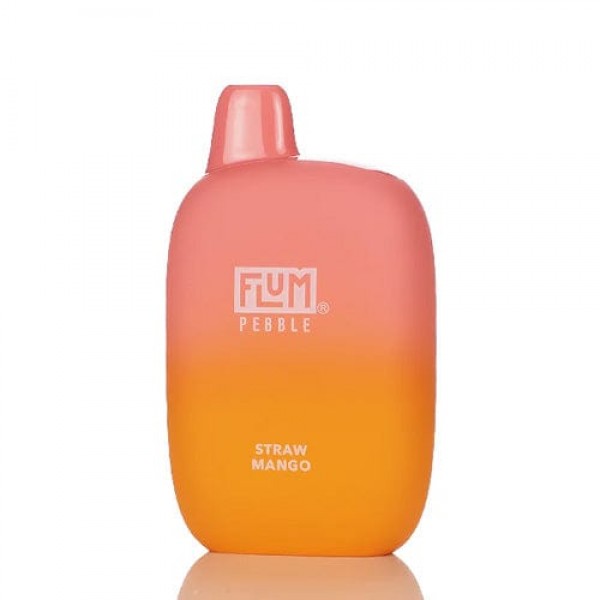 Flum Pebble Disposable Vape (5%, 6000 Puffs)