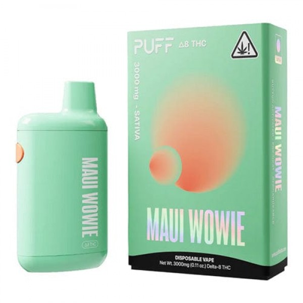 Puff Bar 3000mg Delta 8 Disposable Vape